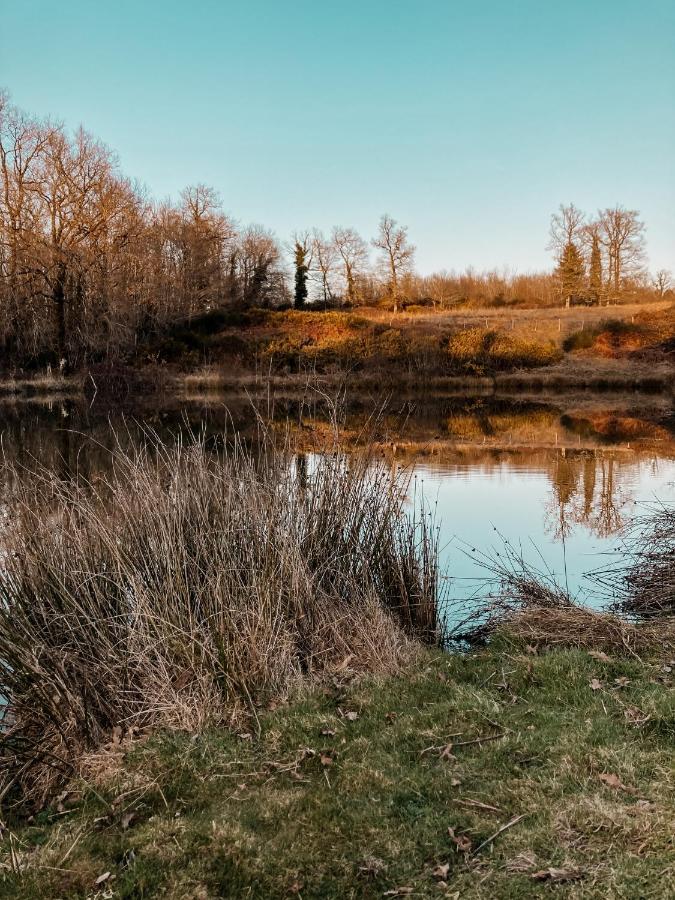 La Ferme Du Pont De Maumy, Cabane Au Bord De L'Etang Et Bain Nordique Busserolles Dış mekan fotoğraf