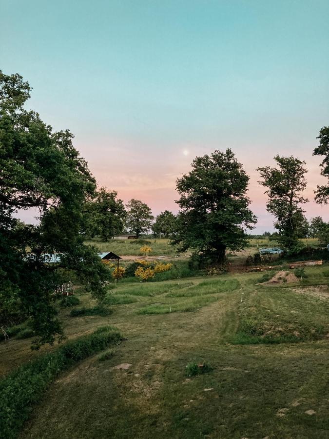 La Ferme Du Pont De Maumy, Cabane Au Bord De L'Etang Et Bain Nordique Busserolles Dış mekan fotoğraf